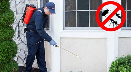 Artuklu Kemirgen İlaçlama böcek ilaçlama ve haşere kontrolü — ilaclama-tr.com